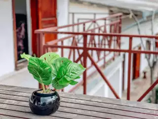 База отдыха «Динамо-2», г. Анапа