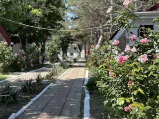 База отдыха «Динамо-2», г. Анапа