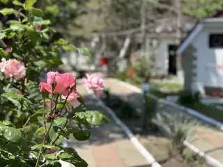 База отдыха «Динамо-2», г. Анапа