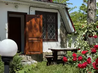 База отдыха «Динамо-2», г. Анапа