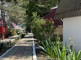 База отдыха «Динамо-2», г. Анапа