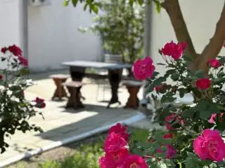 База отдыха «Динамо-2», г. Анапа