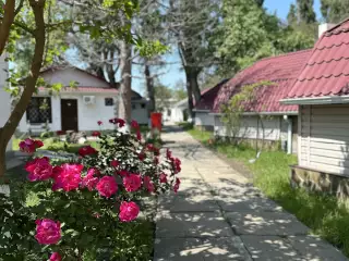 База отдыха «Динамо-2», г. Анапа