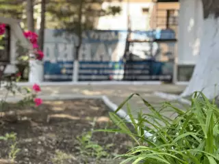 База отдыха «Динамо-2», г. Анапа