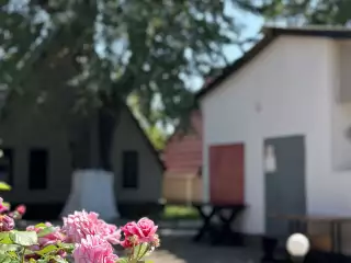 База отдыха «Динамо-2», г. Анапа