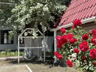 База отдыха «Динамо-2», г. Анапа