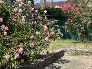 База отдыха «Динамо-2», г. Анапа